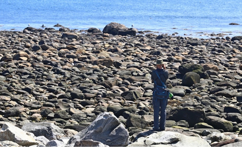 Daniel Onea Obituary Cambridge MA Keefe Funeral Homes